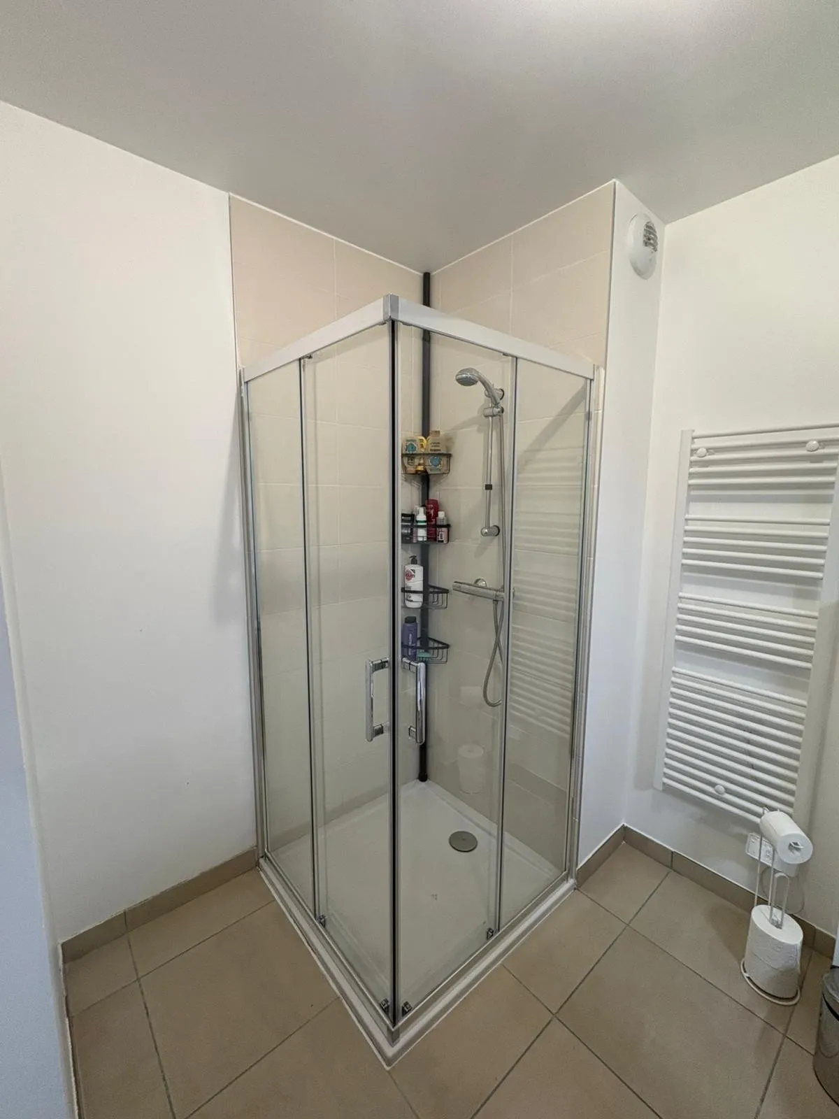 Cabine de douche et sèche-serviettes installés